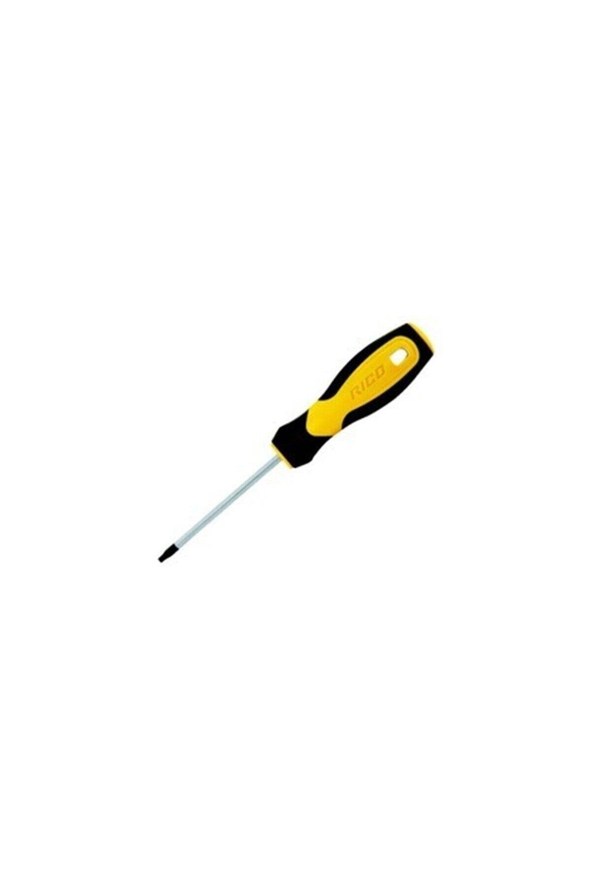 RİCO KLASİK TORX UÇLU TORNAVİDA T20X100 MM 003-RT1012